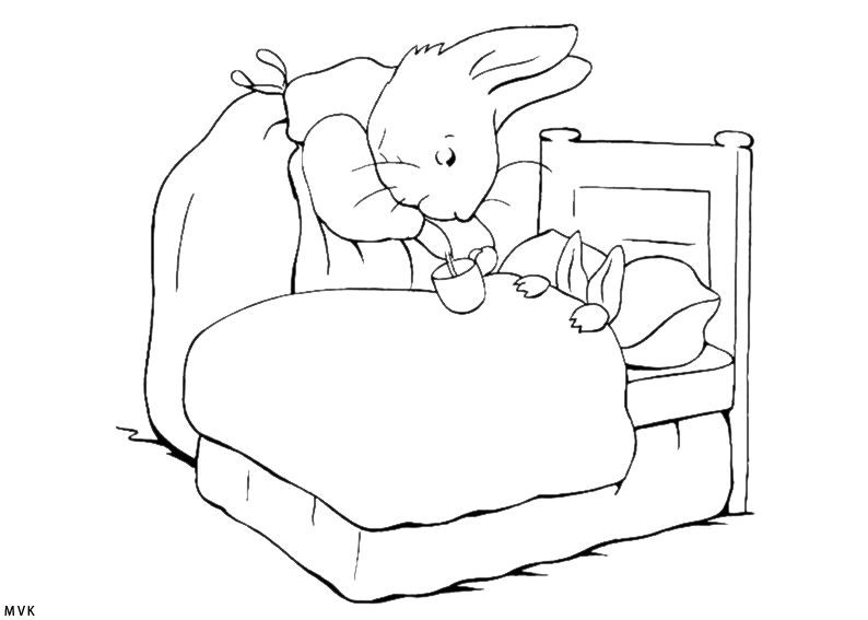 peter rabbit004
